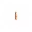 Ogives Sierra calibre 22 Gameking No.1355 FMJBT 55 grs 