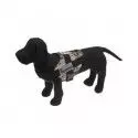 Harnais pour chien dirty bird Camo Browning 