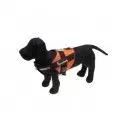 Harnais pour chien upland orange Browning 