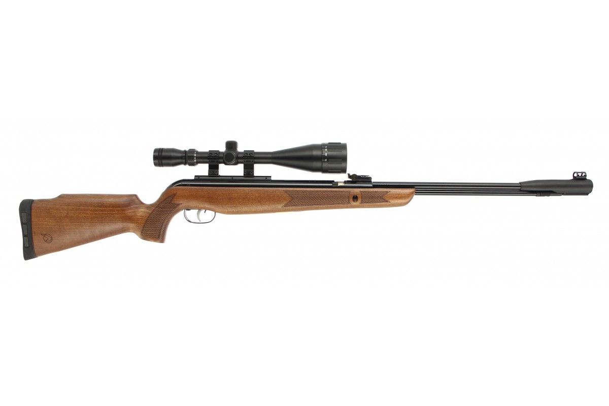 Carabine gamo HPA IGT cal 4.5mm avec lunette 3-9x40WR et bi-pied +