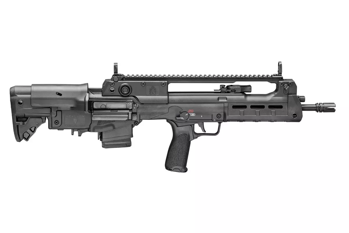 Carabine SPRINGFIELD ARMORY Hellion 16'' calibre 223 Rem avi...