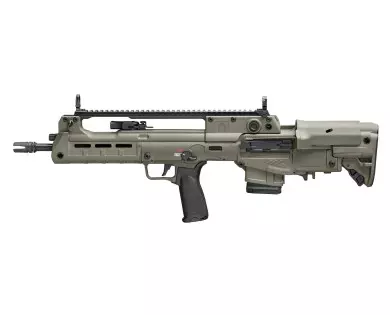 Carabine SPRINGFIELD ARMORY Hellion 16'' OD Green calibre 22...