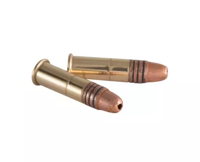 Munition Winchester 22LR XPERT Copper Plated 42GR boite de 100 avis, caractéristiques, performances