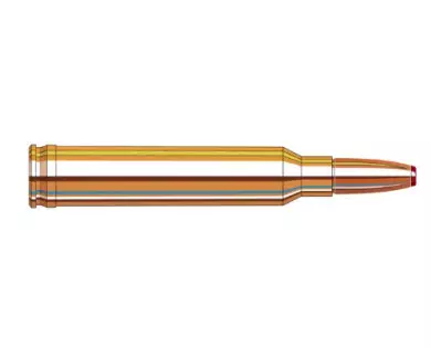 Munitions Hornady ECX calibre 300 Win Mag - 165 grains avis,...