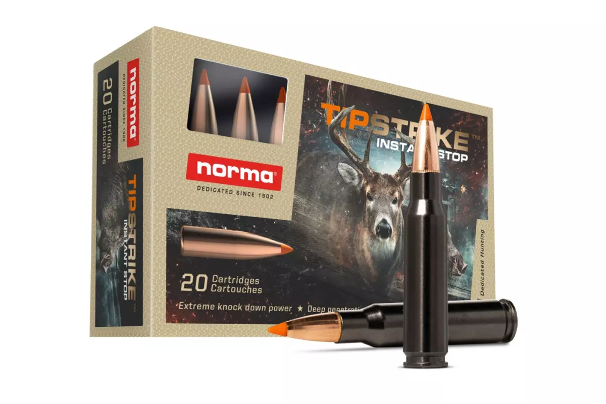 Munitions NORMA Tipstrike Silencer calibre 30-06 - 170 grain...