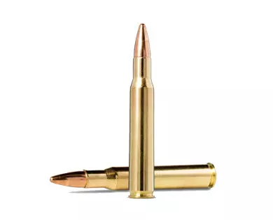 Munitions NORMA Jaktmatch calibre 30-06 - 150 grains avis, c...