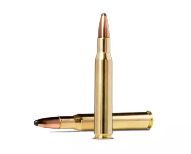 Munitions NORMA Whitetail calibre 30-06 - 150 grains avis, c...