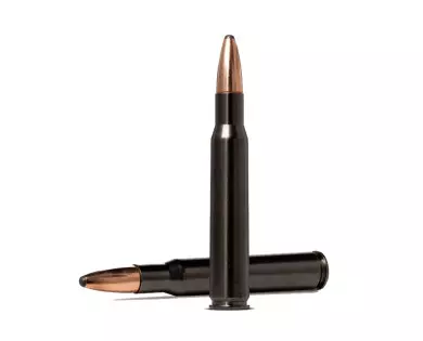 Munitions NORMA Oryx silencer calibre 30-06 - 180 grains avi...