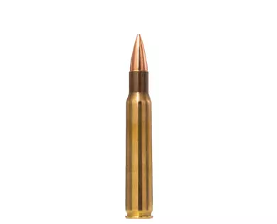 Munitions NORMA Range & Training FMJ calibre 30-06 - 150 gra...