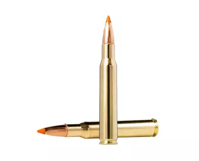 Munitions calibre 30-06 Norma TIP STRIKE