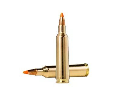 Munitions NORMA Tipstrike Varmint calibre 22-250 Rem - 55 gr...