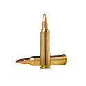 Munitions Norma Calibre 22-250 Rem 55 Oryx