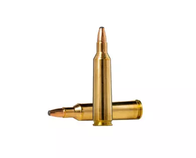 Munitions Norma Calibre 22-250 Rem 55 Oryx