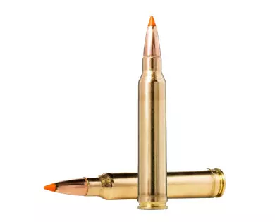 Munitions calibre 300Win Mag Norma TIP STRIKE