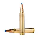 Munitions NORMA Oryx calibre 300 Winchester Magnum - 180 gra...