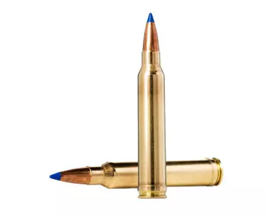 Munitions NORMA Oryx calibre 300 Winchester Magnum - 180 gra...