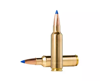 Munitions NORMA Bondstrike Extreme calibre 300 Winchester Sh...