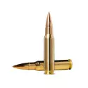 Munitions NORMA Golden Target calibre 308 Winchester - 168 g...