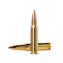 Munitions NORMA Golden Target calibre 308 Winchester - 175 g...