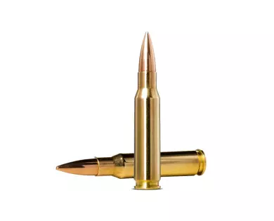 Munitions NORMA Golden Target calibre 308 Winchester - 175 g...