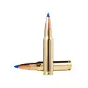 Munitions NORMA Bondstrike calibre 308 Winchester - 180 grai...