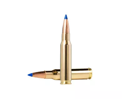 Munitions NORMA Bondstrike calibre 308 Winchester - 180 grai...