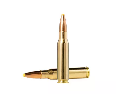 Munitions NORMA Plastic Point calibre 308 Winchester - 180 g...