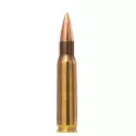 Munitions NORMA Range & Training calibre 308 Winchester - 15...