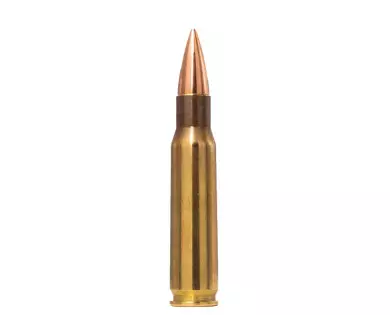 Munitions NORMA Range & Training calibre 308 Winchester - 15...