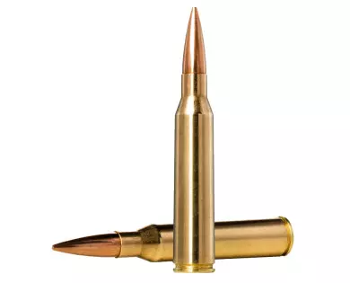 MUNITIONS NORMA 338 LAPUA MAG GOLDEN TARGET 16.2G /250GRS