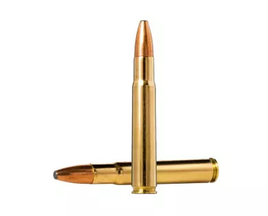 Munitions calibre 35 Whelen Norma Oryx