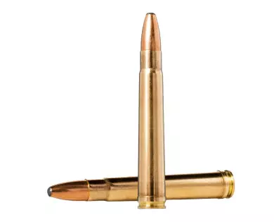 Munitions NORMA Oryx calibre 375 Holland & Holland Magnum - ...