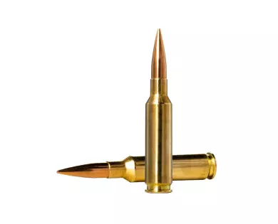 Munitions NORMA Golden Target calibre 6,5 Creedmoor - 143 gr...