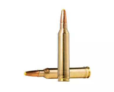 Munitions Norma Calibre 7mm Rem Mag 170 Ppdc Pte Plast