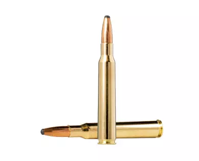 Munitions NORMA Oryx calibre 7x64 - 170 grains avis, caracté...