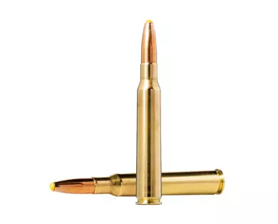 Munitions Norma Calibre 7x64 170 Ppdc Pte Plast