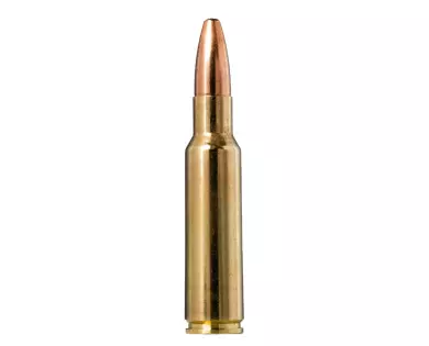 Munitions NORMA Oryx calibre 8,5x55 Blaser - 230 grains avis...