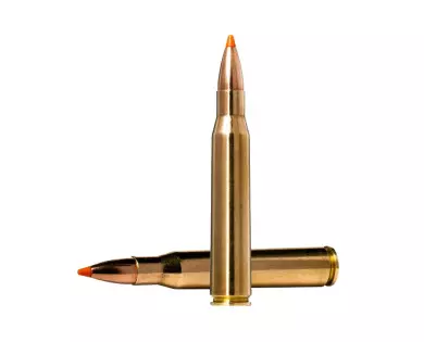 Munitions NORMA Tipstrike calibre 8x68S - 180 grains avis, c...