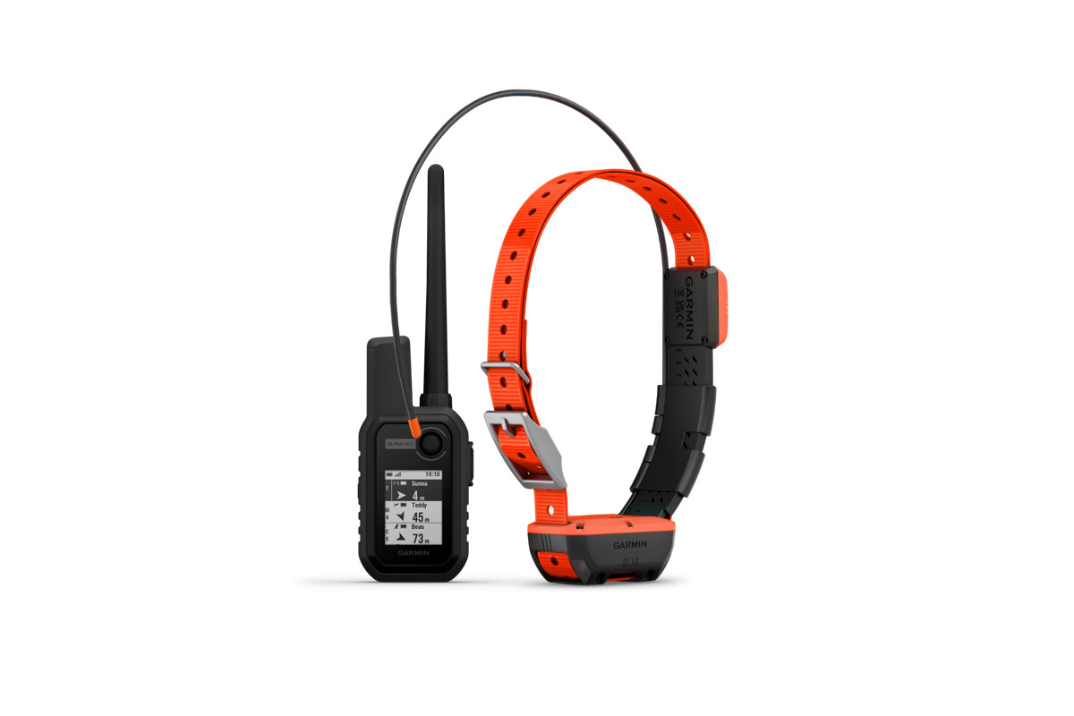 Pack Garmin Alpha 10F + Collier T20F