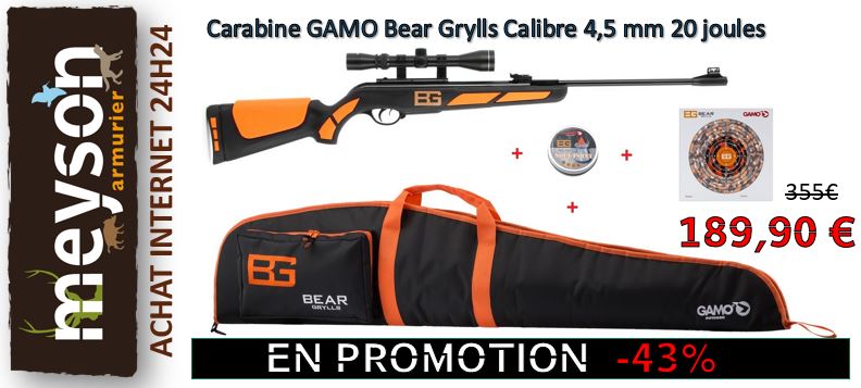 Carabines à Plomb Gamo Armurerie Meyson Achat Prix Bas En